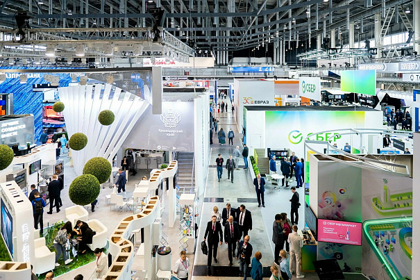 Организация выставок